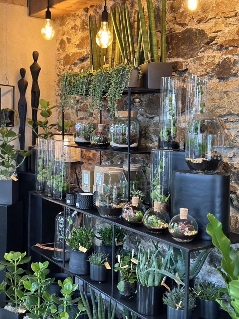 Plantes Verte Fleuriste Bouguenais Nantes