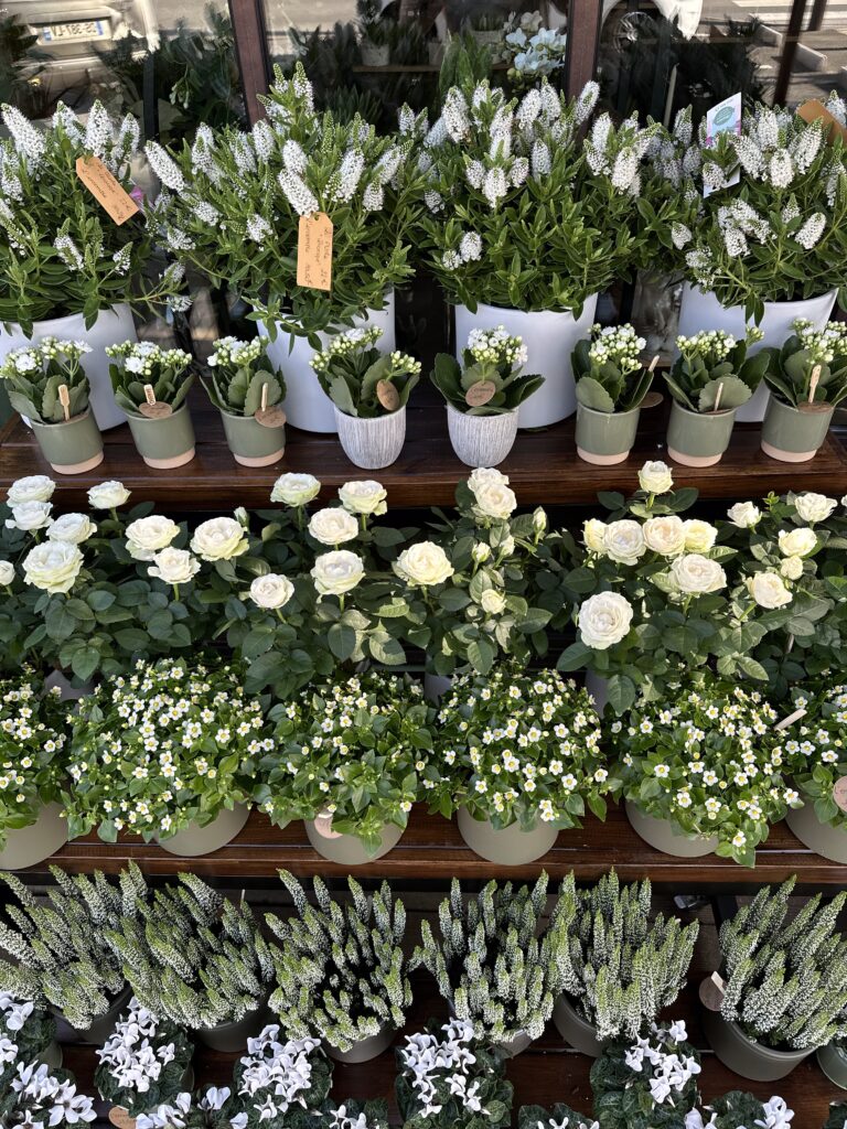 La Boutique Maxime B artisan Fleuriste Bouguenais Nantes