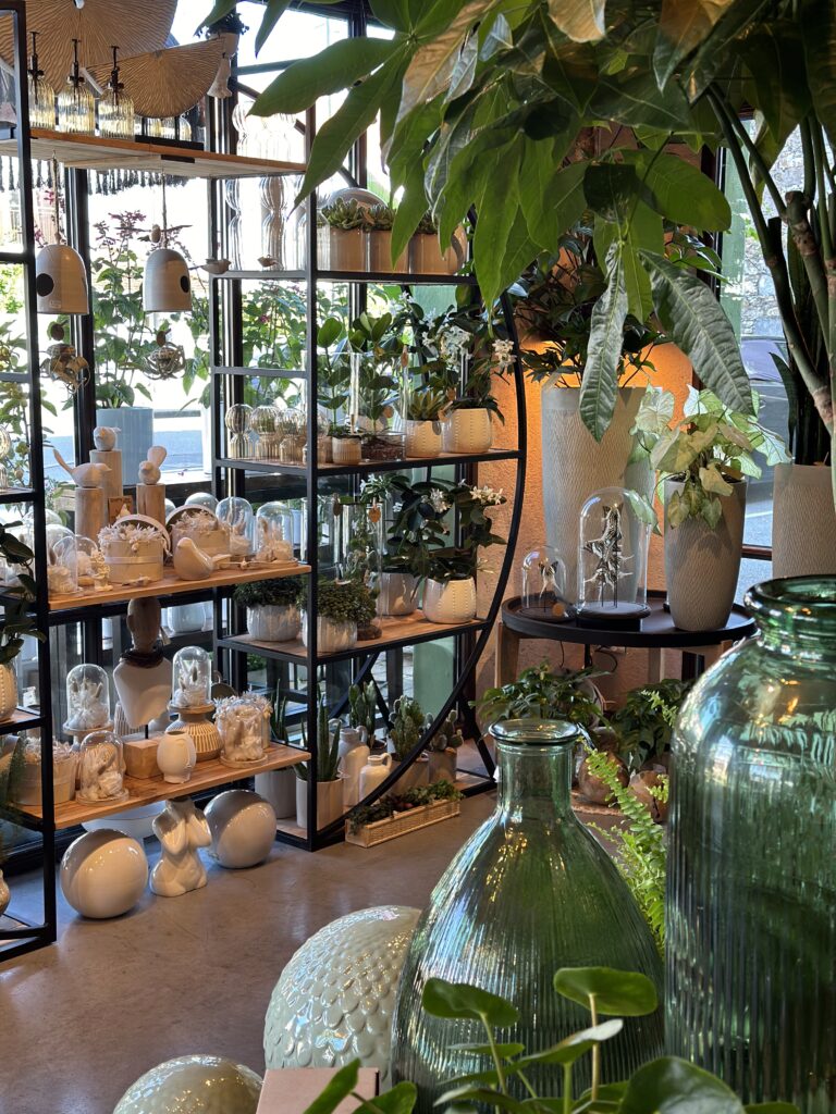 Plantes Verte Fleuriste Bouguenais Nantes