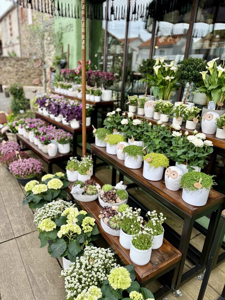 Plantes Verte Fleuriste Bouguenais Nantes