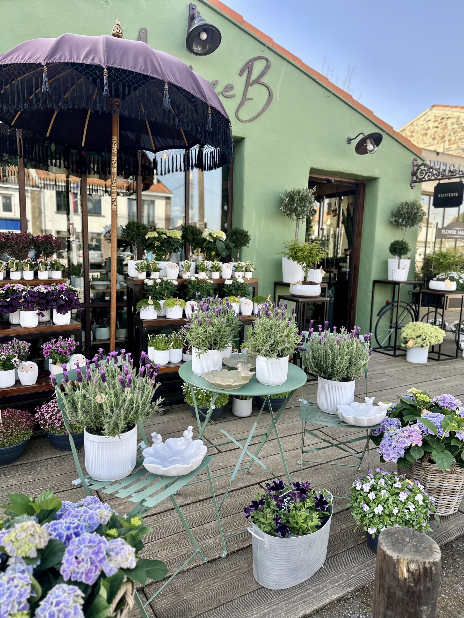 Plantes Verte Fleuriste Bouguenais Nantes
